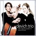 Smetana, Dvorak : Trios pour piano et cordes, vol. 2. Devich Trio.