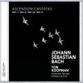 Bach : Cantates de l'Ascension. Rubens, Landauer, Mertens, Koopman.