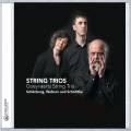 Schoenberg, Webern, Schnittke : Trios  cordes. Trio Goeyvaerts.