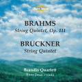 Brahms, Bruckner : Quintettes  cordes. Brandis Quartett.