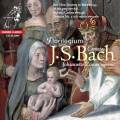 Bach : Cantates BWV 82a et 146. Zomer, Ensemble Florilegium.