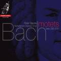 Bach : Six Motets, BWV 225- 230. Dijkstra.