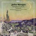 Julius Rntgen : Symphonies n 9 et 21 - Srnade. Porcelijn.