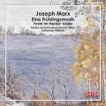 Joseph Marx : Naturtrilogie pour orchestre. Wildner.