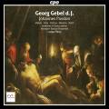 Goerg Gebel II : Passion selon Saint Jean. Mields, Voss, Kobow, Mertens, Bluth, Rmy.