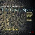 Charlie Apicella & Iron City meet The Griots Speak : Destiny Calling.