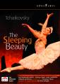 Tchaikovski : La Belle au bois dormant. Het Nationale Ballet, Wright, Florio.