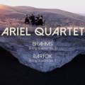 Brahms, Bartk : Quatuors  cordes. Quatuor Ariel.