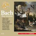 Bach : Onze concertos. Fortin, Frisch, Huggett, Martin, Mortensen, Pinnock, Podger, Staier, Suzuki.