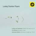 Beethoven, Nielsen, Brahms : Musique de chambre. Ludwig Chamber Players.
