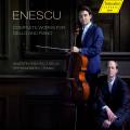 Enescu : L'uvre pour violoncelle et piano. Radutiu, Rundberg.