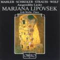 Marjana Lipovsek chante Mahler, Schreker, Strauss et Wolf : Lieder. Werba. [Vinyle]