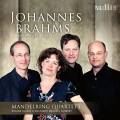 Brahms : Intgrale des sextuors  cordes. Glassl, Schmidt, Quatuor Mandelring.