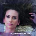 Brahms : Sonates pour piano n 2 et 3. Katinka von Richter.