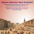 Bach : Cantates BWV 195 et 215. Schlick, Haffke, Elliott, Varcoe, Beringer.