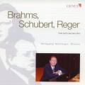 Brahms, Schubert, Reger : uvres pour piano
