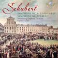 Franz Schubert : Symphonies n 8 et 9. St. Petersburg Symphony Orchestra, Lande.