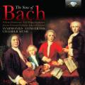Les Fils de Bach : Symphonies - Concertos - Musique de chambre.