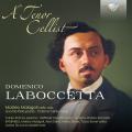 Domenico Laboccetta : Musique de chambre pour violoncelle. Malagoli, De Polo, Centa, Shimizu, Giordani, Matteo.