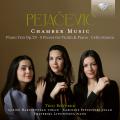 Dora Pejacevic : Musique de chambre. Trio RoVerde.