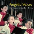 Angelic Voices. Le son des churs d'enfants.