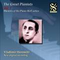 Grands pianistes, vol. 7 - Vladimir Horowitz