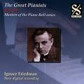 Grands pianistes, vol. 14 - Ignace Friedman
