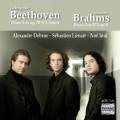 Beethoven/Brahms : Piano trios . Trio Carlo Van Neste.