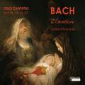 Bach : Cantates solistes. Wrner, Il Gardellino.