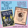 Really the Blues? A Blues History, vol. 1 (1893-1929).
