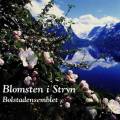 Bolstadensemblet : Blomsten i Stryn