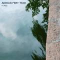 Adrian Frey Trio : no flags