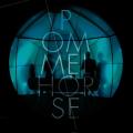 Pommelhorse : Winter Madness [Vinyle]