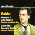 Mahler : Symphonie n 1. Zareska.