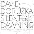 Doruka,David Silently Dawning