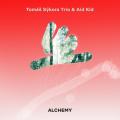 Tomas Sykora Trio & Aid Kid : Alchemy.
