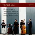 Strings & Bass. Willeitner, Dickbauer, Bartolomey, Breinschmid.