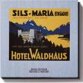 Jörg Kienberger - Trio Farkas : Das Waldhaus in Sils-Maria