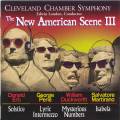 New American Scene III