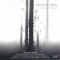 Benjamin Sabey: Winter Shore
