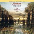 Robert Schumann : Trios avec piano