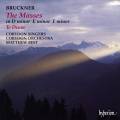 Bruckner : Les Messes - Te Deum. Best.