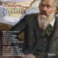 Brahms : Intgrale de la musique de chambre. Hamelin, Isserlis, King, Lane.