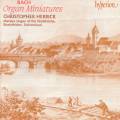 Johann Sebastian Bach : Miniatures pour orgue attribues  Bach