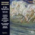 Vaughan Williams : A Sea Symphony. Llewellyn, Farnsworth, Brabbins.
