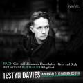 Bach : Cantates n 35 et 169. Davies, Ensemble Arcangelo, Cohen.