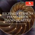 Strauss : Trios et quatuor pour piano. Stepaniak, Trio Mendelssohn.