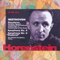 Ludwig van Beethoven : Musique symphonique