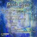 David Liptak : Musique de chambre. Sharp, Lin, Starobin, Hershman-Tcheperin, Lubman, Wheeler.