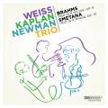 Brahms, Smetana : Trios pour piano. Trio Weiss-Kaplan-Newman.
